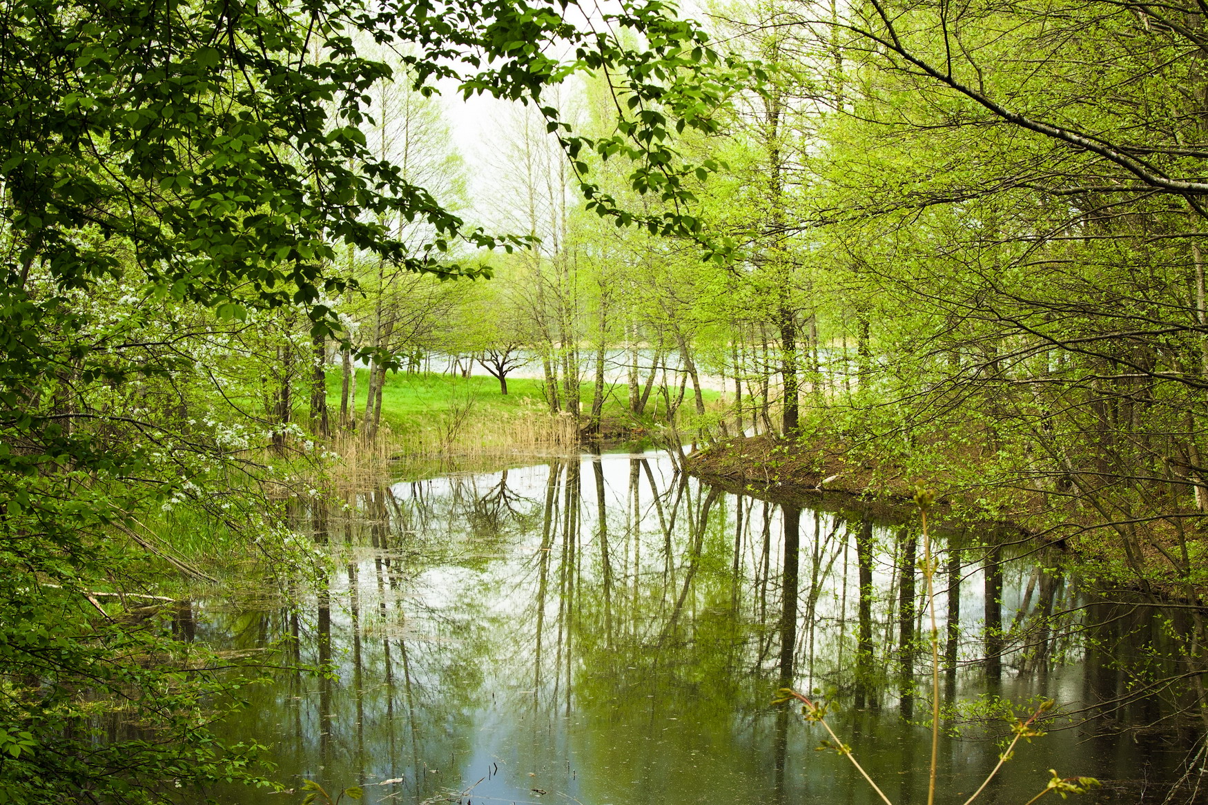 Accueil Chasse De Vieux Ferrette